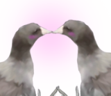 1276786072600186975.webp